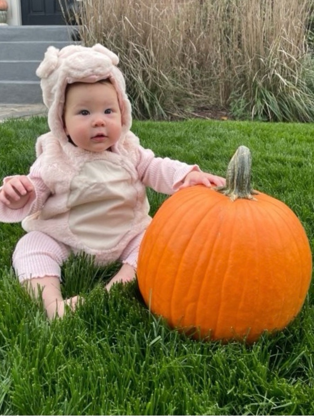 Pottery Barn- Piglet costume - Light Pink - Picture 6 of 11